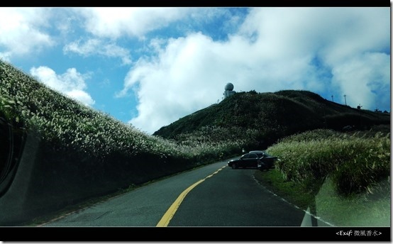 五分山賞芒草步道_19