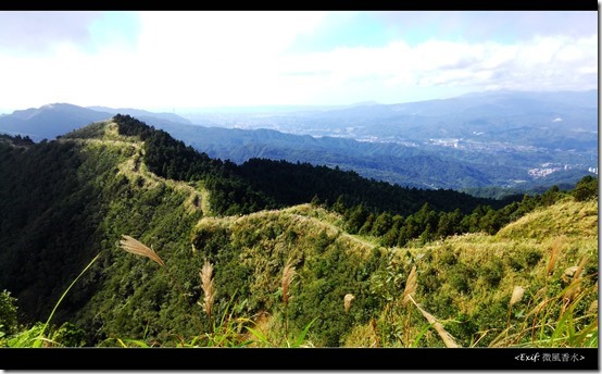 五分山賞芒草步道_37