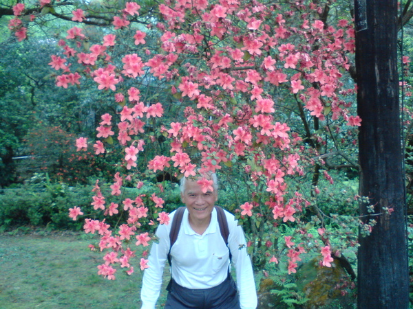 人比花嬌?