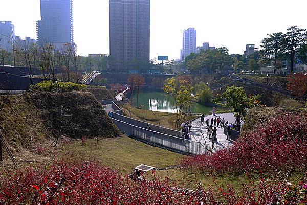 P1070035.JPG P1070035.JPG