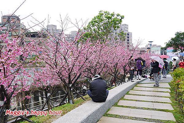 P1170987.JPG P1170987.JPG
