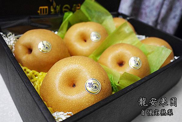 新社龍安果園水梨.jpg 新社龍安果園水梨.jpg