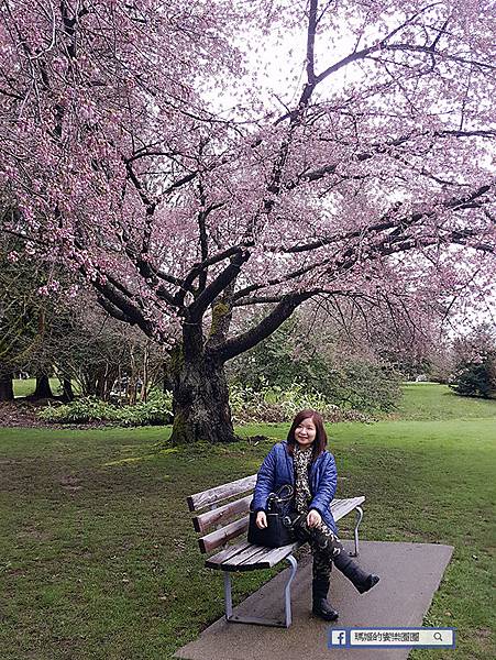 加拿大風情【和平公園/伊莉莎白女皇公園】春暖花開櫻花美景處處