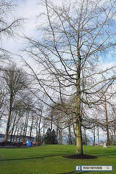 加拿大風情【和平公園/伊莉莎白女皇公園】春暖花開櫻花美景處處