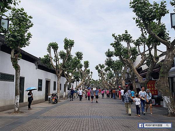 上海自由行【蘇州拙政園寒山寺】園林古城遊船半日遊