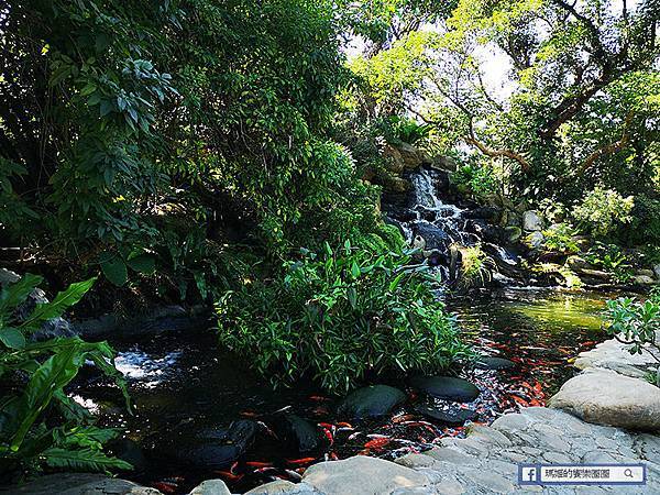 苗栗景點【花露休閒農場】浪漫聖誕花園。精油主題館。薰衣草花園。苗栗景觀農場