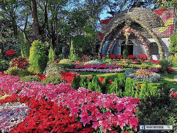 苗栗景點【花露休閒農場】浪漫聖誕花園。精油主題館。薰衣草花園。苗栗景觀農場