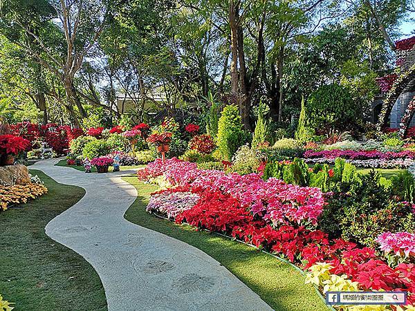 苗栗景點【花露休閒農場】浪漫聖誕花園。精油主題館。薰衣草花園。苗栗景觀農場