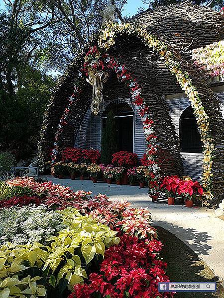 苗栗景點【花露休閒農場】浪漫聖誕花園。精油主題館。薰衣草花園。苗栗景觀農場