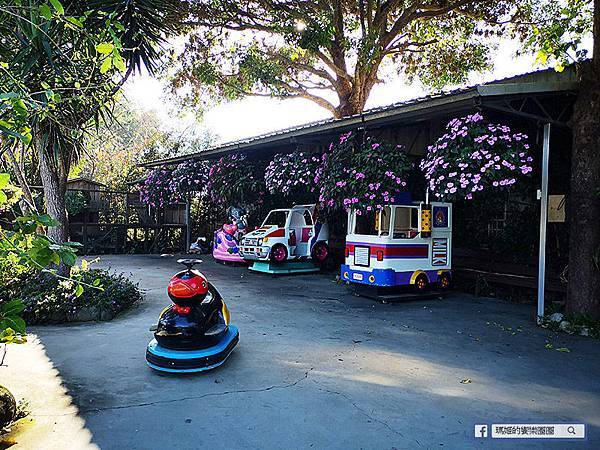 苗栗景點【花露休閒農場】浪漫聖誕花園。精油主題館。薰衣草花園。苗栗景觀農場