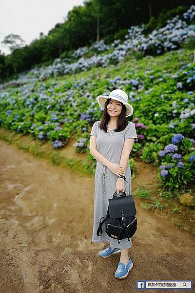 2020繡球花季【高家繡球花第三園區】萬里繡球花田/藍白繡球花田/網紅婚紗拍照景點