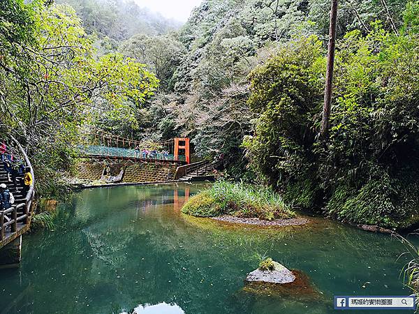 南投景點【衫林溪森林生態渡假園區】南投賞楓旅遊~楓紅了!全台唯一黃金水衫美景