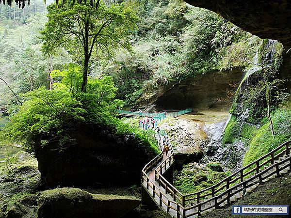 南投景點【衫林溪森林生態渡假園區】南投賞楓旅遊~楓紅了!全台唯一黃金水衫美景