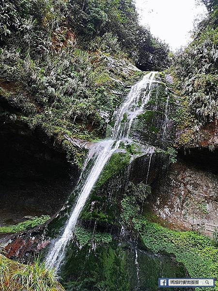 南投景點【衫林溪森林生態渡假園區】南投賞楓旅遊~楓紅了!全台唯一黃金水衫美景