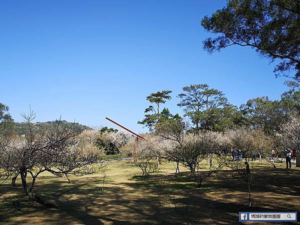 桃園賞梅景點【角板山行館】角板山公園樂活賞梅行程推薦/全新規畫六大區域