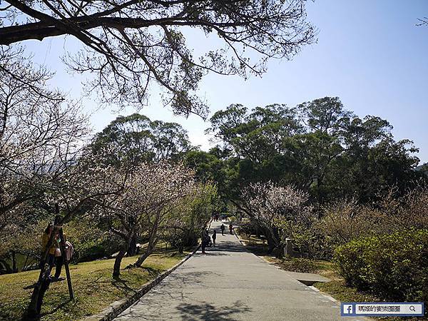 桃園賞梅景點【角板山行館】角板山公園樂活賞梅行程推薦/全新規畫六大區域