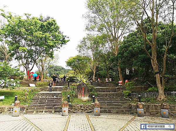 內湖旅遊景點【內湖大溝溪生態治水園區】420坪繽紛花海/內湖爬山健行路線推薦