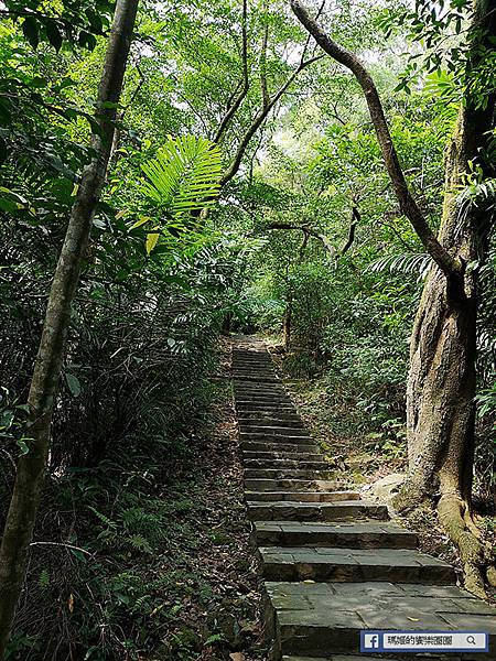 內湖旅遊景點【內湖大溝溪生態治水園區】420坪繽紛花海/內湖爬山健行路線推薦