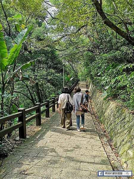 內湖旅遊景點【內湖大溝溪生態治水園區】420坪繽紛花海/內湖爬山健行路線推薦