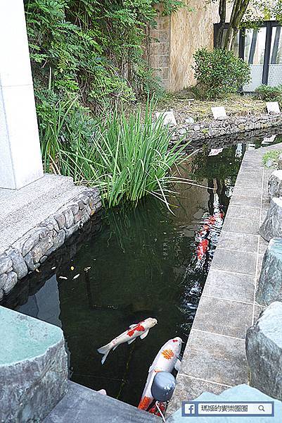 宜蘭景點推薦【菌寶貝博物館】金柑菌多多益生菌/免門票網美打卡景點