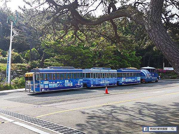 釜山景點【太宗臺＋釜山國立海洋博物館】美麗海岸自然公園/親子旅遊景點