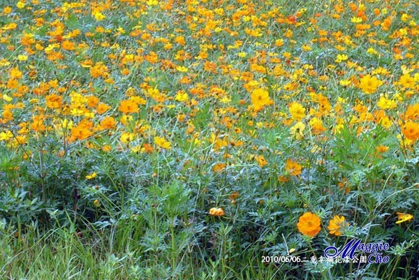 2010-0606-111932(北)三重-二重幸福花漾公園.jpg