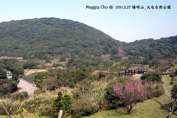 2011-0227-115132(北)陽明山-大屯自然公園.jpg