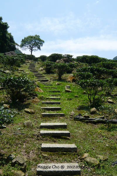 2012-0506-115924(北)三峽-熊空.jpg