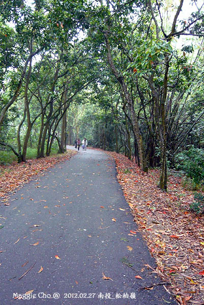 2012-0227-141044(投)名間-松柏嶺.jpg