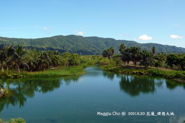 2011-0820-142908(花)壽豐-理想大地.jpg