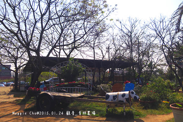2015_0124_122458觀音_青林農場.JPG 2015_0124_122458觀音_青林農場.JPG