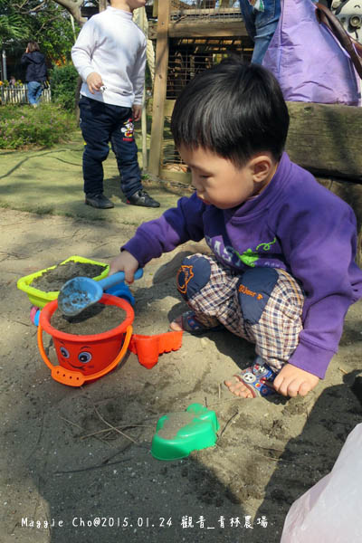 2015_0124_133812觀音_青林農場.JPG 2015_0124_133812觀音_青林農場.JPG