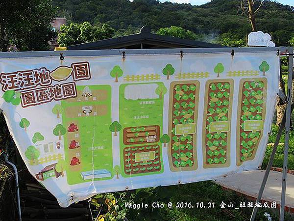 2016_1001_151035金山_旺旺地瓜園.JPG 2016_1001_151035金山_旺旺地瓜園.JPG