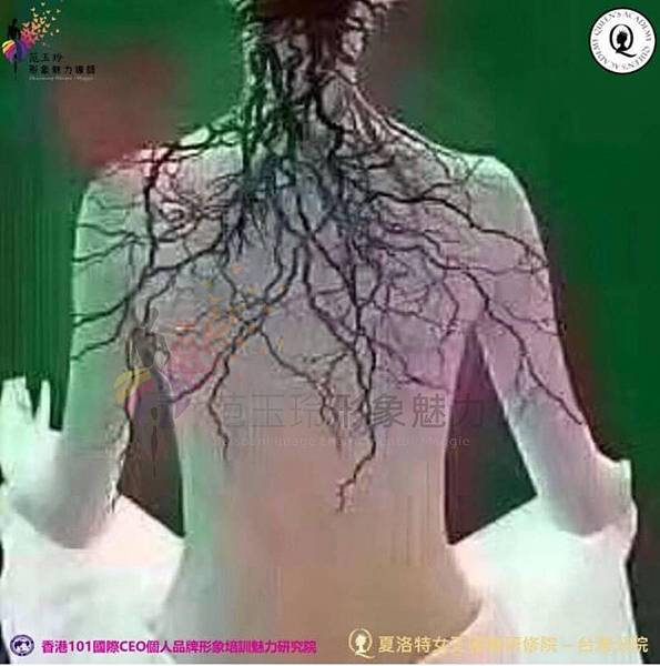 117818792_1864147890392141_7080379605334363967_o