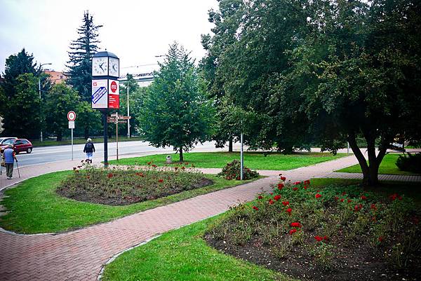 P1080212.jpg