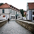 P1080648.jpg