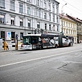 P1080805.jpg