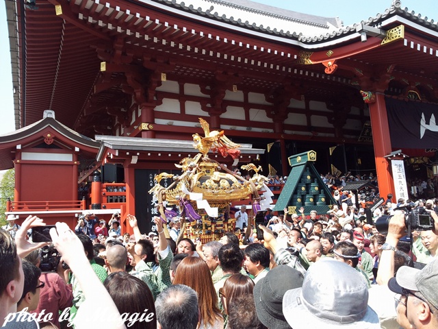 淺草遇到祭典