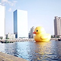 Rubber Duck 04.jpg