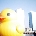 Rubber Duck 06.jpg