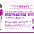 2016-09-17 Peach上機手提行李規定