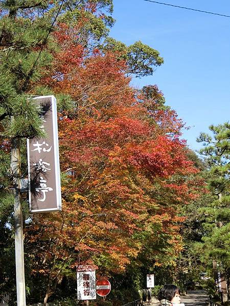 Day 3 2016/11/26天橋立附近美景