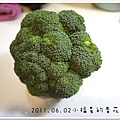 2011.06.02 花椰菜泥 (1)
