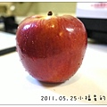 2011.05.25蘋果泥 (1)