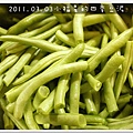 2011.07.03四季豆泥 (3)