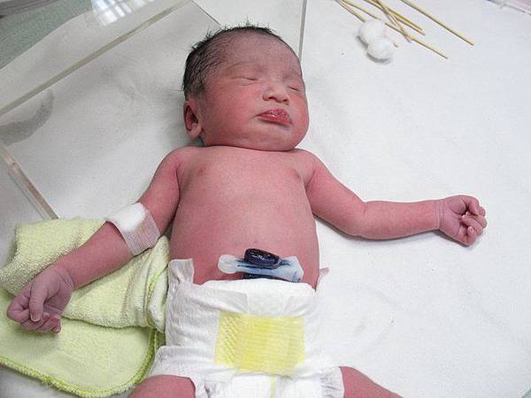 baby2.jpg baby2.jpg