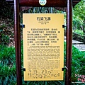 P1200221.jpg