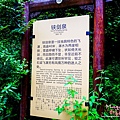 P1200296.jpg