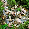 P1210001.jpg