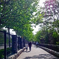 P1340620.jpg